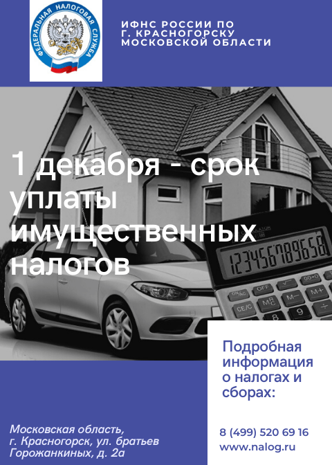 1 декабря - срок уплаты имущественных налогов.
